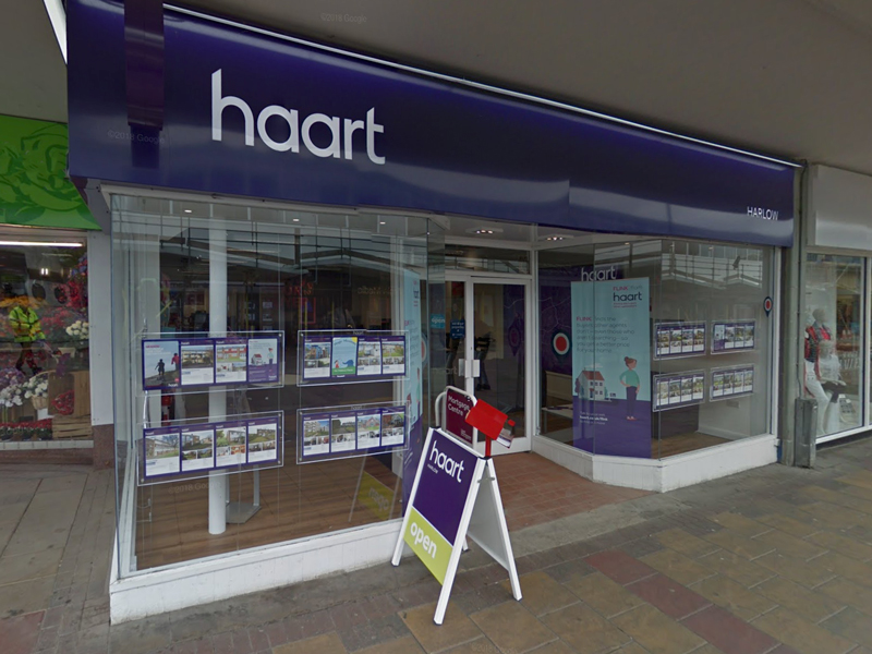 Haart harlow Haart harlow