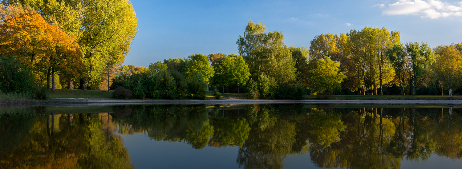 Estate Agents Bar Hill Free Property Valuations haart